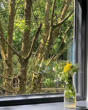 Alder Lodge *