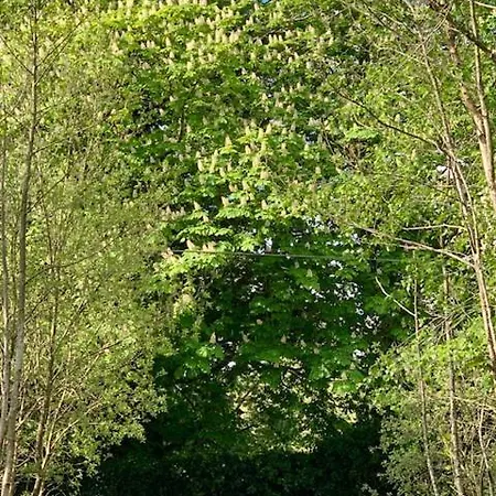 Alder Lodge Kilkenny