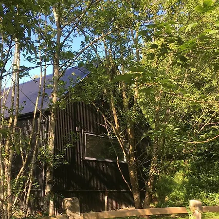 Alder Kilkenny