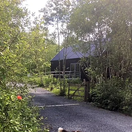 Lodge Alder *