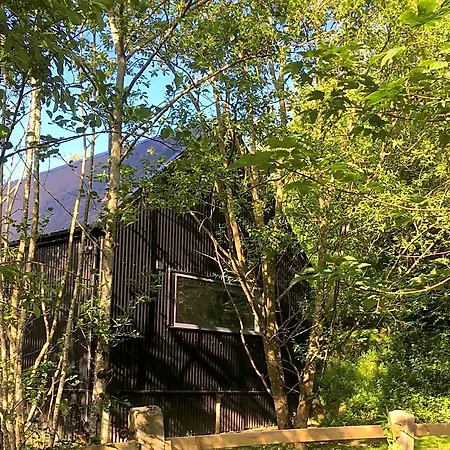 Lodge Alder *